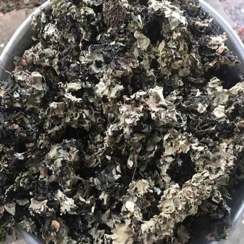 Fresh Black Stone Flower